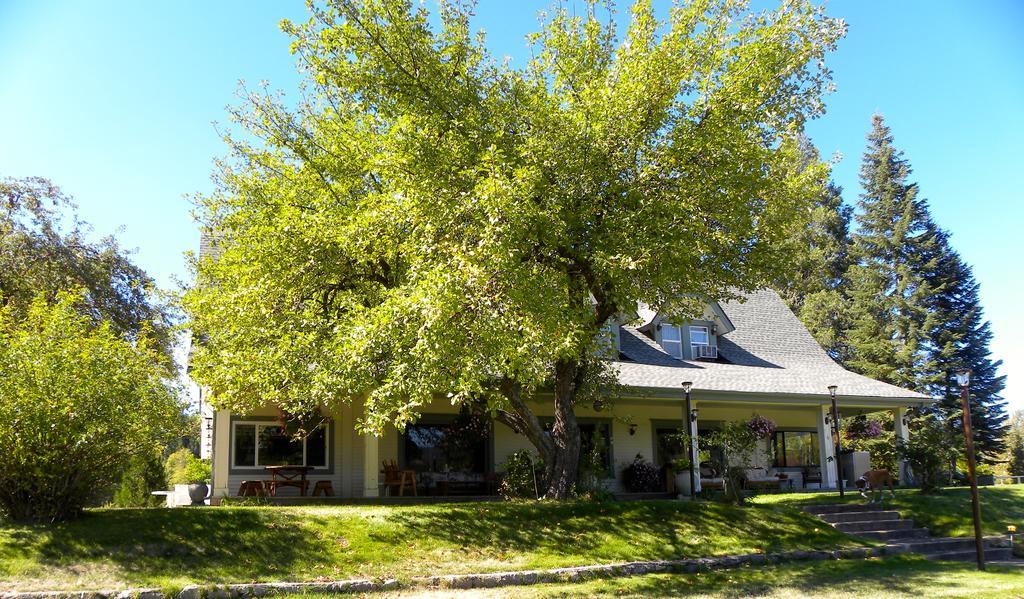 Mount Shasta Ranch Bed And Breakfast Exterior foto